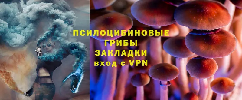 ссылка на мегу зеркало  Вязьма  Галлюциногенные грибы MAGIC MUSHROOMS 